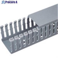 PANDUIT Fタイプ配線ダクト(PVC製鉛フリー)ライトグレー82.8×104.1×1830 6FT(フィート) 1本  ■▼731-2296 F3X4LG6  10本