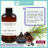 Aroma Sense Pine Needle Scent Water Soluble Essential Oil (250ml) - Fresh & Long Lasting Fragrance