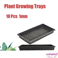 VALENTINE1 10Pcs Seed Propagation Tray, Plastic Durable Plant Growing Trays, Sprout Hydroponic Systems No Holes 550x285x60mm Reusable Bonsai Flowerpot Tray Wheatgrass