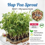 [1KG] MG27 Hap Pea Sprout Microgreen Soon Huat Seeds