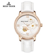 Jam Tangan Wanita Reef Tiger/RT New Fashion Elegant Women Watch Sapphire Glass Waterproof Automatic 