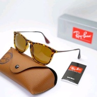 Rayban Chris tortoise glossy frame - brown Polarized basic lense Sunglasses
