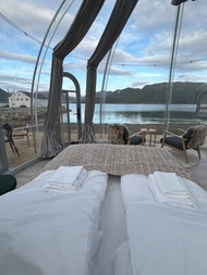 Arctic Glamping-Dome