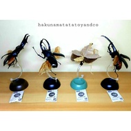 Bandai Dango Mushi Ikimono Encyclopedia Beetle/Mantis/Kuwagata Insect Simulation figure