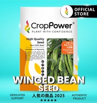 (200 GRAM) Biji Benih Kacang Botol Big Four 大四喜 WB48 CROP POWER Winged Bean seeds 四棱豆种子 WB 48