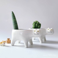Desktop Green Nine-Tailed Foxtail Plant New Cartoon Cat Tail Monkey Cactus Column Flower Pot Art Pla
