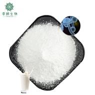 Bifidobacterium longum 10 billion Food grade probiotics powder Highly active lactic acid bacteria po