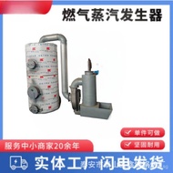 High Capacity Sterilization Pot Gas Boiler Special Steam Boiler Dry Cleaning Shop Drying Room Steam 