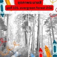 ภาพระบายสี ภาพลายเส้น ชุดที่ 101. evergreen forest ป่าไม้ กระดาษ A4 A5 หนา 80 210 แกรม จำนวน 30 แผ่น เส้นคมชัด สีไม้ สีเทียน สีน้ำ สีอะคลิริค ระบายได้