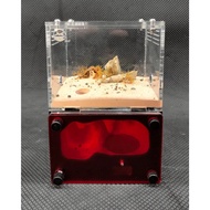 Ant farming box H01/ Ant Tank H01