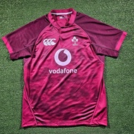 Genuine CCC Mens Ireland Training Pro Jersey Maroon 2025/26