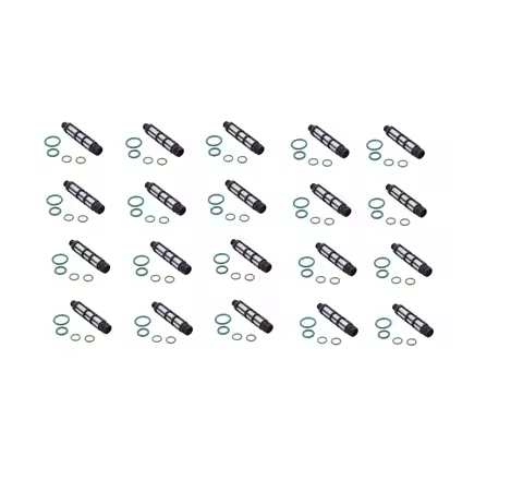 20 Pcs KIT REVIZIE FILTRU GPL OMVL CPR