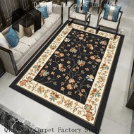 Living room area rug with ethnic style Turkish carpet Persian modern vintage sofa coffee table rug f