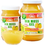 Wildcrafted Irish Sea Moss Gel | Made in USA | Rich in Vitamins & Minerals | Sea Moss Gel Raw | Nutr