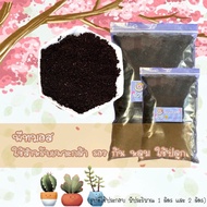 Peat Moss Other Cactus Soil