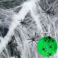 ️ Luminous spider web With 2 Spiders Fake Glows In The Dark Halloween Decoration