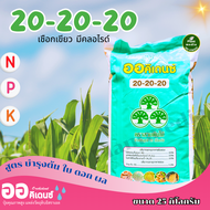 ปุ๋ยระบบน้ำ ออคิเดนซ์ ปุ๋ยเกล็ด 20-20-20 (สูตร B มีคลอไรด์ เชือกเขียว) บรรจุ 25 กิโลกรัม
