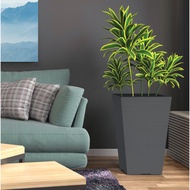 FELTON Square Plastic Flower Pot FBL2453 FBL2454 Indoor & Outdoor Gardening Pasu Bunga