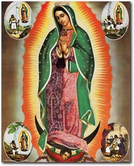 Wall Decor Picture Virgin Mary Our Lady Of Guadalupe Mexican la virgen de Art Print Poster (16x20)