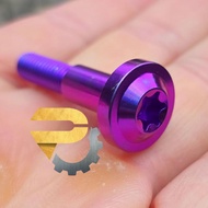 SCREW GR5 BRAKE LEVER TITANIUM PURPLE Y15 Y16 LC135 LC NVX AVANTIZ RS RSX VARIO