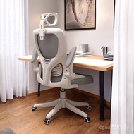 North Chair Office Chair Jinghujia Computer Chair Ergonomic Lumbar Sedentary Seat Mu Office Chair El