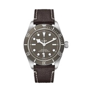 Tudor Watch Biwan Series Men's Watch Fashion Sports Business Belt Mechanical Watch M79010SG-0001