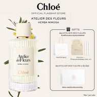 น้ำหอมผู้หญิง Chloé Atelier Des Fleurs Herba Mimosa Eau De Parfum For Women | Symbol of Sensitivity 