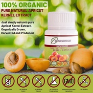 Apricot Seed B17 Kapsul Biji Apricot Kernel Natural Bitter