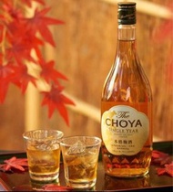 日本CHOYA 本格一年熟成梅酒 200ml