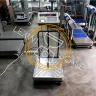 100Kg Printer Scale 100Kg Expedition Scale/ 100Kg Scale/