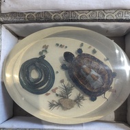 Seventy Years High-Strength Amber Resin Turtle Snake with Water Grass Stone Embellishment Specimen, 