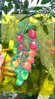 客製化手繪賽璐璐片