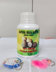 KAPSUL BUAH KULIM (BLEND) 60 PCS ORIGINAL HQ 100% WARANTY