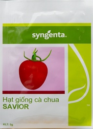 HẠT GIỐNG CÀ CHUA SYGENTA ( SAVIOR ) - 5G (GÓI)