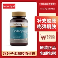 Herbs of gold Heroes Of Gold Heroes Of Gold Heroes Of Gold Heroes Of Gold20250530