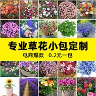 Flower Seed Sunflower Sunflower Flower Cosmos Hundred Days Grass Daisy Gypsophila Four Seasons