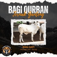 Hewan Qurban Sapi Qurban Kurban Hidup Bobot 200KG Tebar Hemat Qurban Ganteng