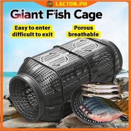 Fishing Cage for Shrimp Crab Eel Crab Crayfish Lure Bait Trap Catcher Net Mesh Basket Net Tackle Fis