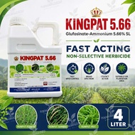 Kingpat 4 Liter Glufosinate-Ammonium 5.66% (Same As Buick 5.66 Rainpat 566 Tepat) Racun Rumpai Rumpu