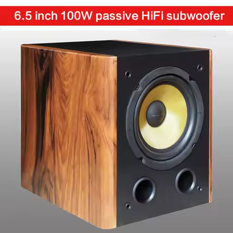 100W High-power 6.5-inch Passive Subwoofer Speaker DIY HIFI Fever Level Swans Speaker Car Home Home 