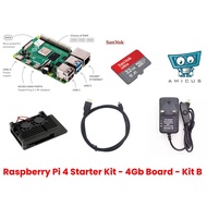 Raspberry Pi 4 Starter Kit - 4Gb Board - Kit B