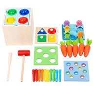 Montessori Box Play Kit 5 In 1 Wooden Montessori Toy Matching Game For Over 1-Year-Old Object Permanence Box Coin Box Carrot Harvest Catch Worm Shape Sorter Birthday Gifts cosy