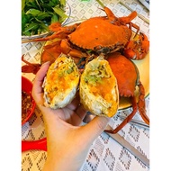 Alive female got roe 11$/pc. Refund if no roe