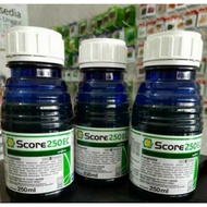Score 250ml