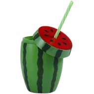 Cute Watermelon Water Bottle