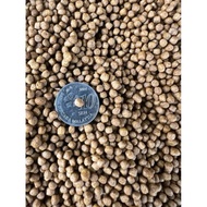 500 GRAM F03 SEAMASTER