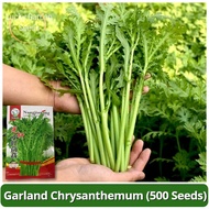 Benih Small Leaf Garland Chrysanthemum Seeds (500 Seed) Rocket Salad Seed Arugula Rocket Seeds Tarra