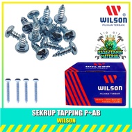 [1 BOX] WILSON Bolt + PAB Round Head Tapping Screw/ - PAB Bolt Screw 6x1" 6x1-1/2" 6x1-1/4" 6x1/2" 6