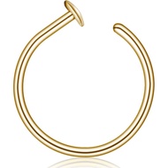 LUCKYJEWUS Small Thin Gold Nose Ring Hoop for Women, 14k Gold Filled or 925 Sterling Silver - 20G/22