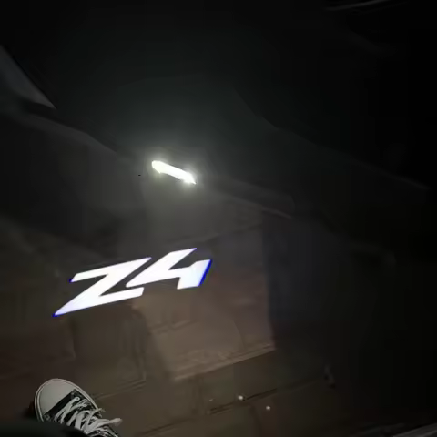 2Pcs LED Car Door Welcome Lights Projector Courtesy Lamp for BMW Z4 Series X1 X3 X4 X6 E91 I3 I4 F30